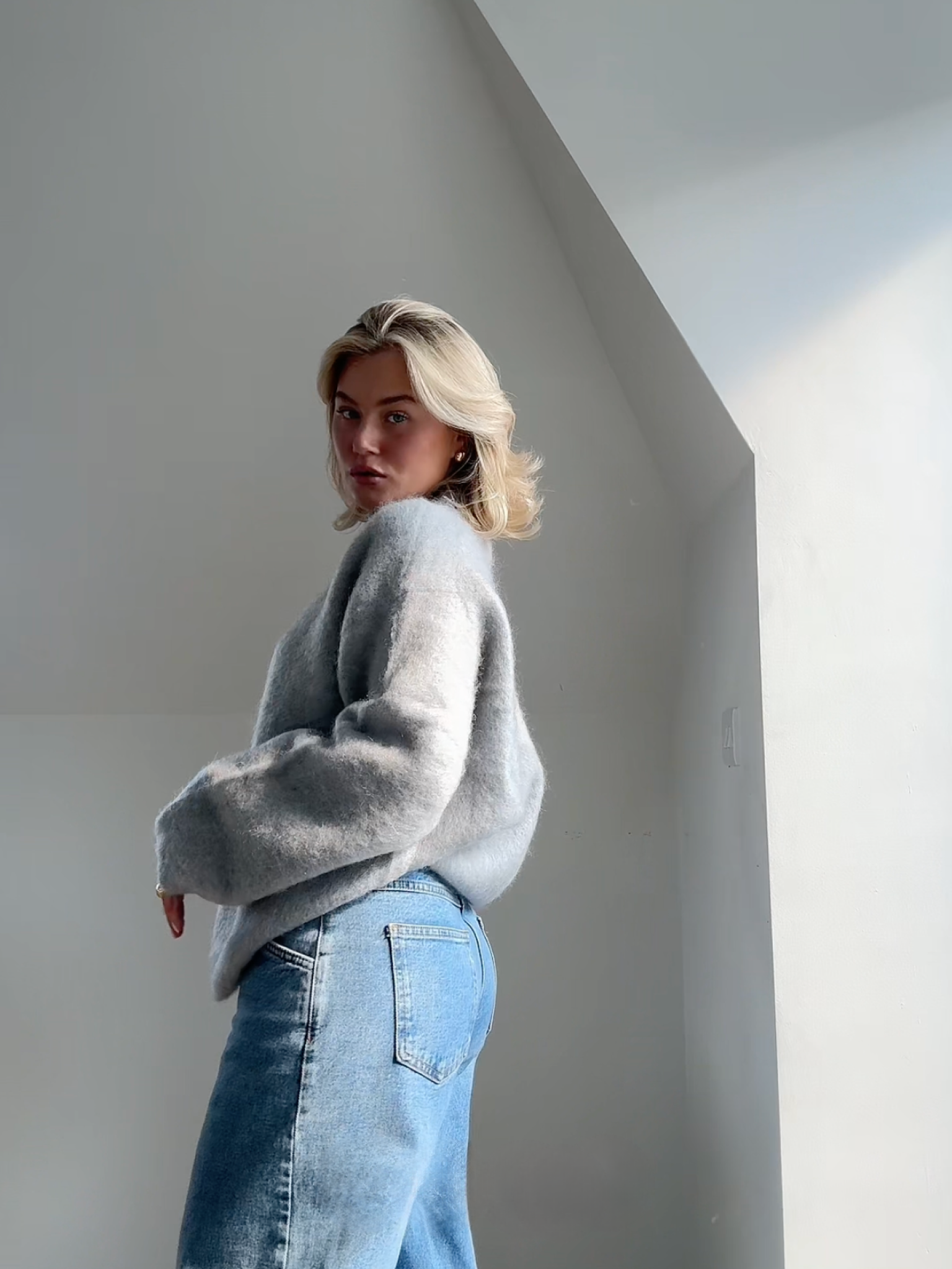 Elvy Paris™ | Pull Col Rond en Mohair